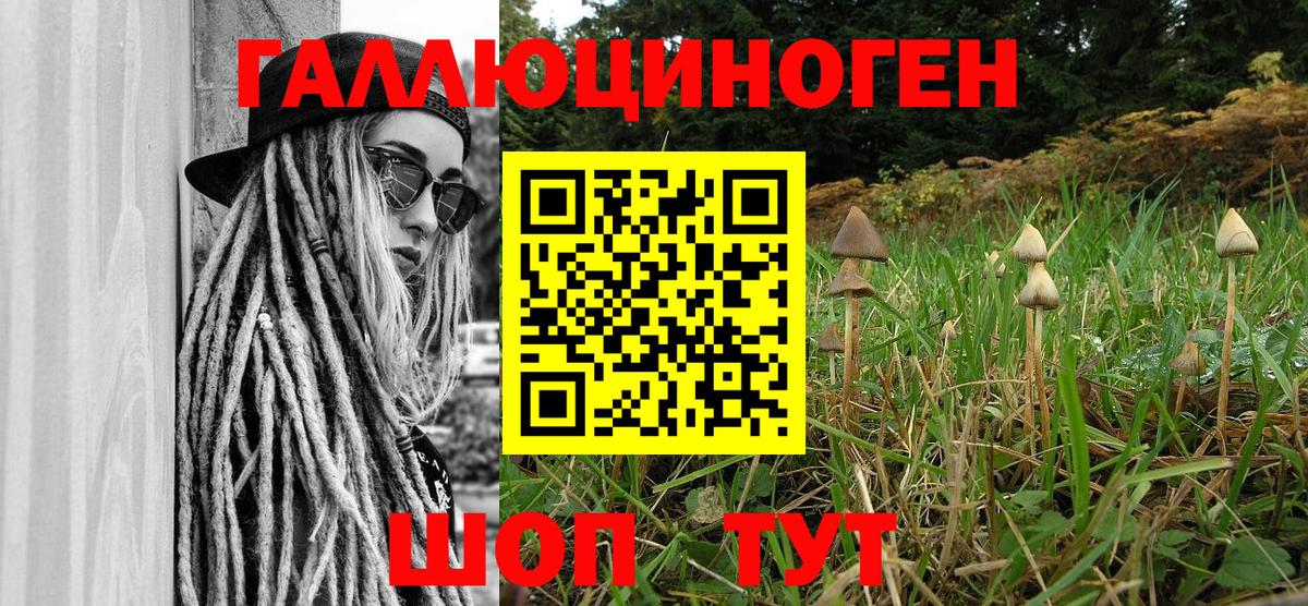 Тында  Галлюциногенные грибы Psilocybe  Вход с VPN 